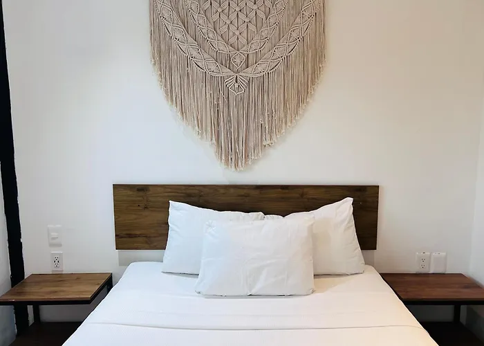 Hotel Live Coco - Boutique & Rooftop