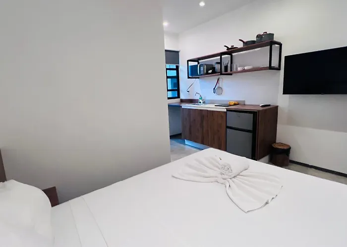 Live Coco - Boutique & Rooftop Hotel Playa del Carmen