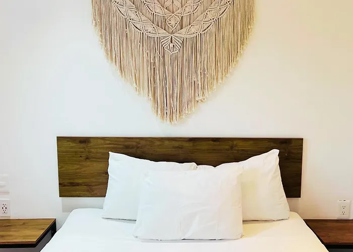 Live Coco - Boutique & Rooftop Playa del Carmen