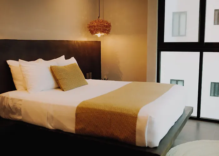Live Coco - Boutique & Rooftop Hotel Playa del Carmen
